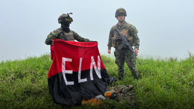 Photo of Ejército destruyó 13 artefactos explosivos en zona rural de Valdivia, Antioquia