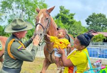 Photo of Autoridades realizan jornada ecológica para proteger los pulmones verdes de Montería