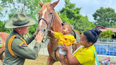 Photo of Autoridades realizan jornada ecológica para proteger los pulmones verdes de Montería