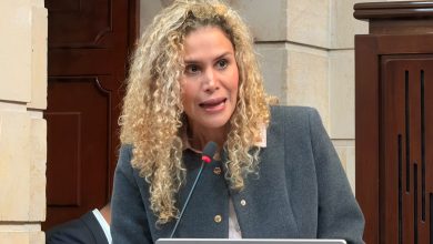 Ministra del Trabajo Natalia López Fuentes presenta presupuesto 2027 ante el Congreso